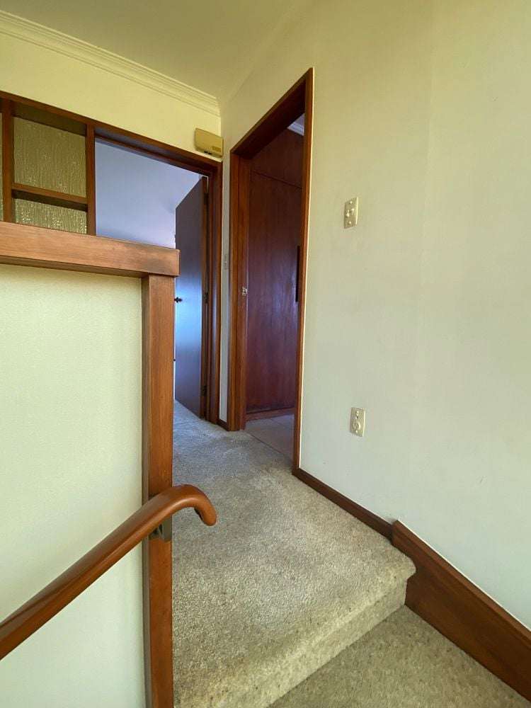 4 George Street Hospital Hill_14