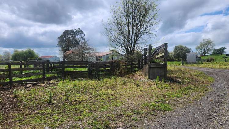 927 Tauwhare Road Pukemoremore_2