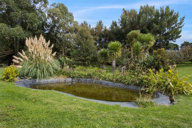 110 Tuapiro Road Hauraki Surrounds_18