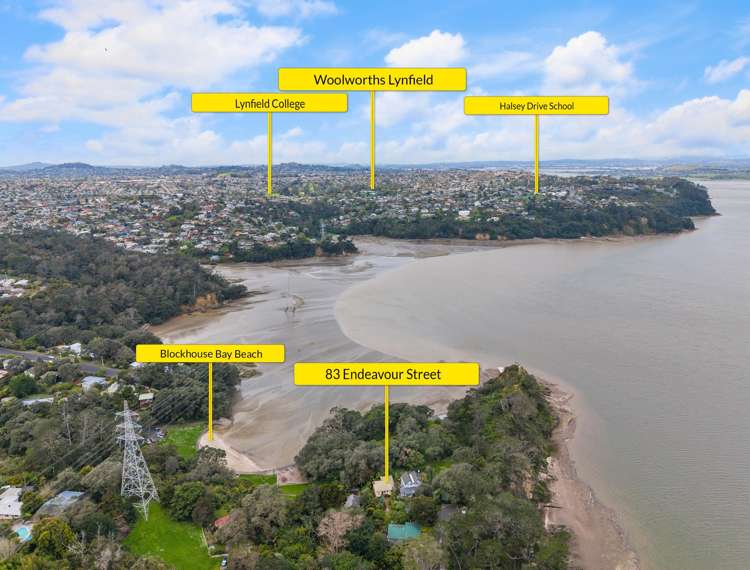 83 Endeavour Street Blockhouse Bay_20