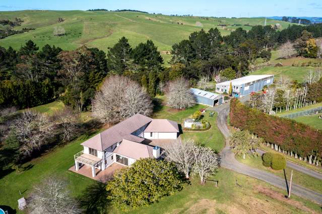 1151 Peak Road Helensville_3