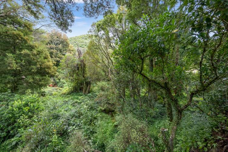 295 Mount Holdsworth Road Carterton_16