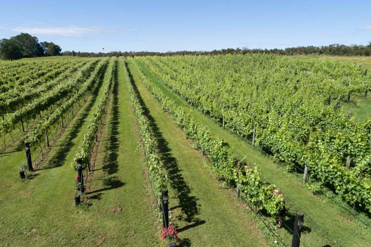 165A Waimate North Road Kerikeri_2