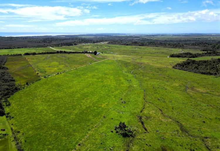 8026 State Highway 6 Charleston_23