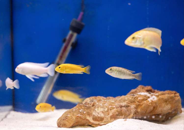 Address withheld Auckland_7