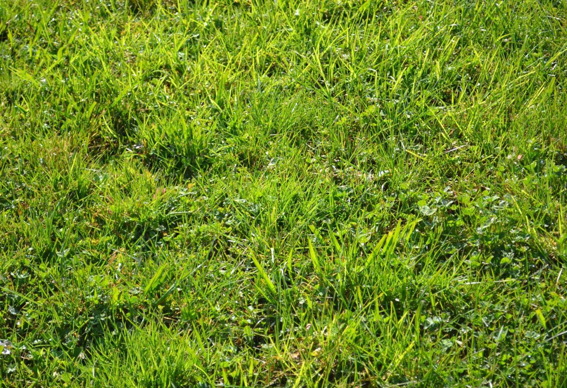 9 Tautoru Avenue Orewa_0