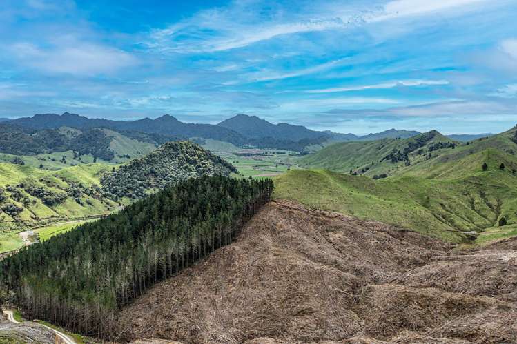 Lots 2-4, 14, 15, DP 9115 Motu Road Matawai_9