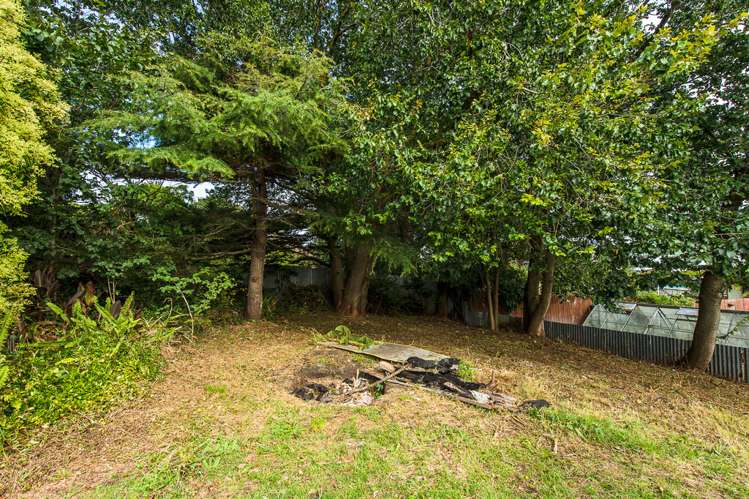 22 Burns Street Tawhero_15