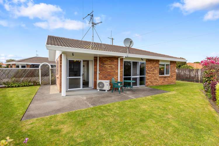 3b The Green Mount Maunganui_1