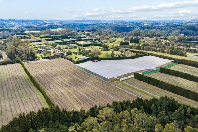 43 Jensen Road Omanawa_4