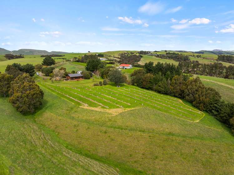 121 Southdown Drive Martinborough_24
