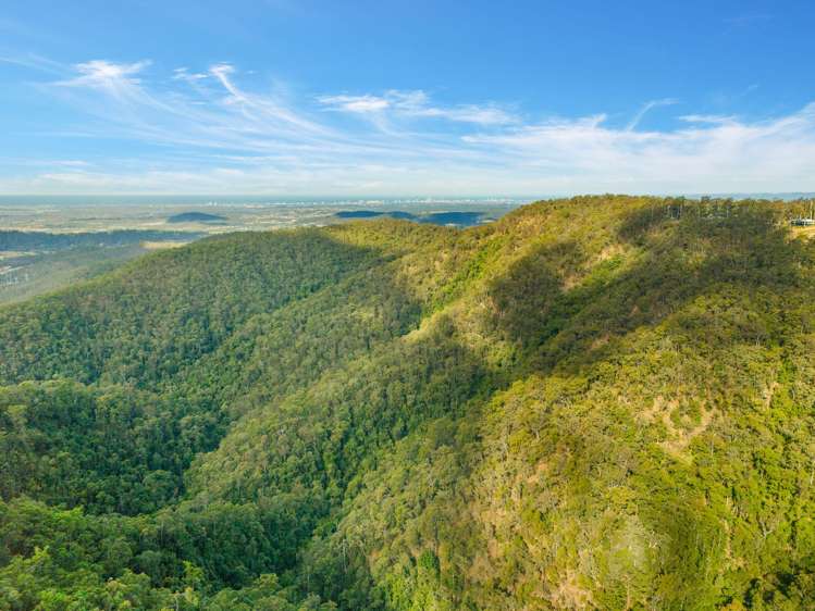 23 Orchis Drive Tamborine Mountain_18