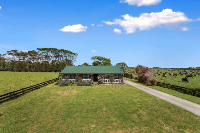 45 Snell Road Opotiki Coastal_2