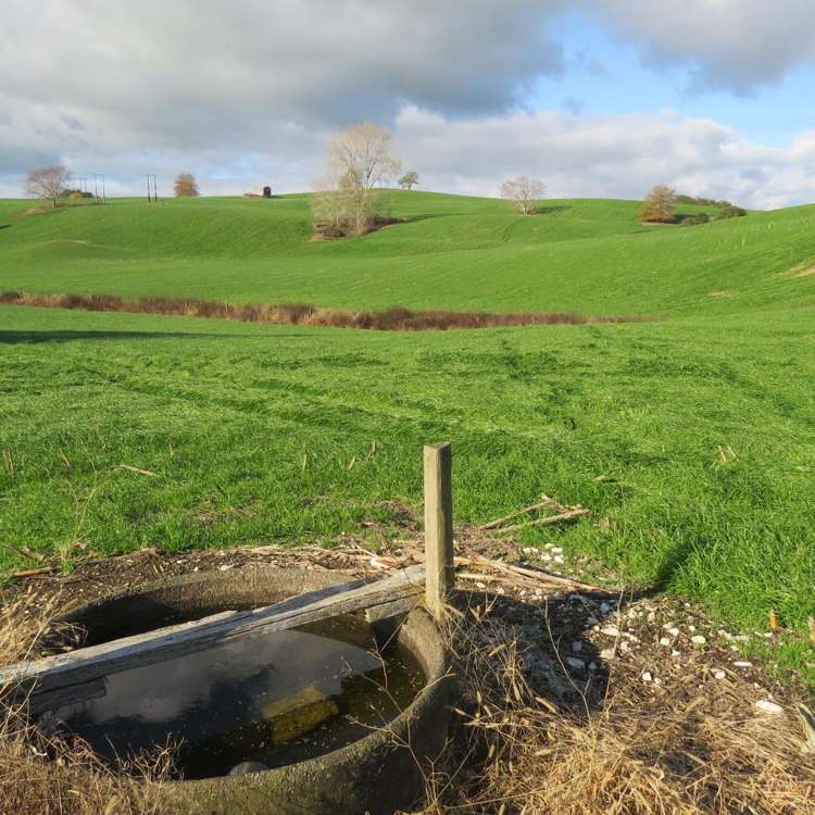 Waitomo Caves Road Waitomo_11