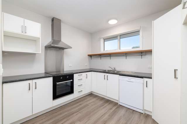 100 Bickerton Street Wainoni_4