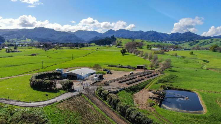 81 Station Road Puriri_17