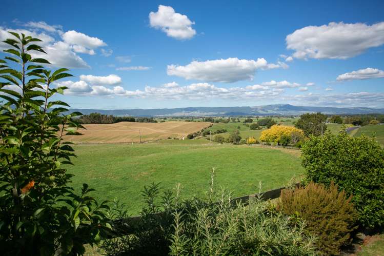 171 Gunn Road Waharoa_8