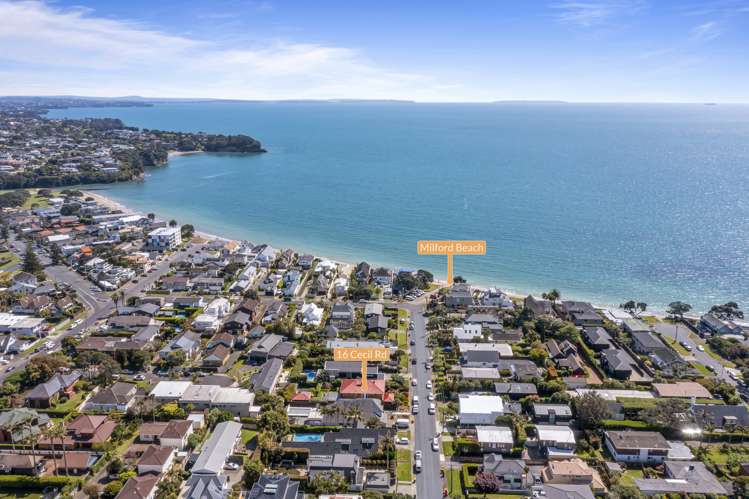 16 Cecil Road Milford_2