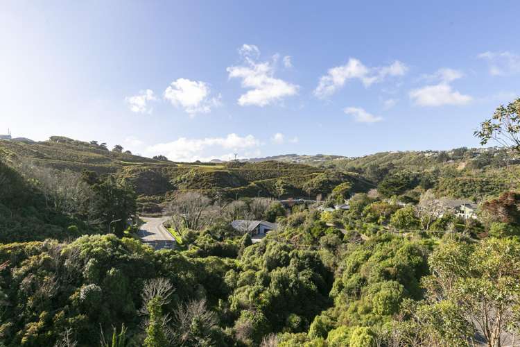 10 Ashfield Grove Churton Park_24