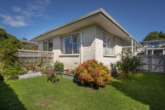 46a Princess Road Bellevue_2