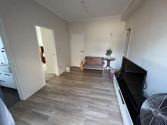 89 Tir Conaill Avenue Flat Bush_1