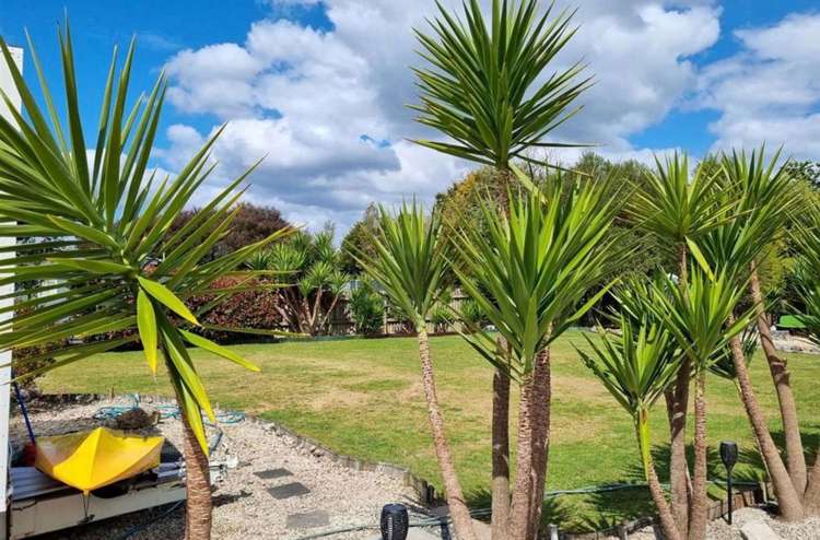142 Rangatira Drive_4