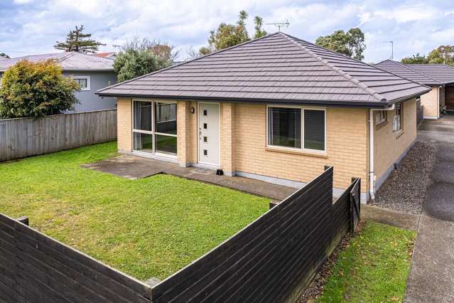 3 Plunket Street Durie Hill_3