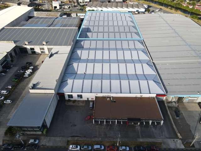 11 Bell Road South Gracefield_1