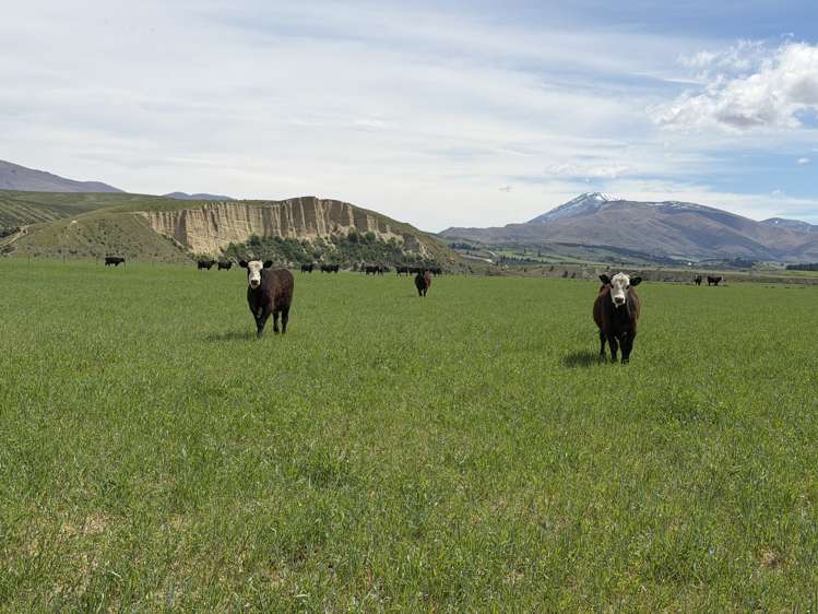 5582 Wedderburn-Becks Road and 755-971 Linnburn Runs Road Hills Creek_17