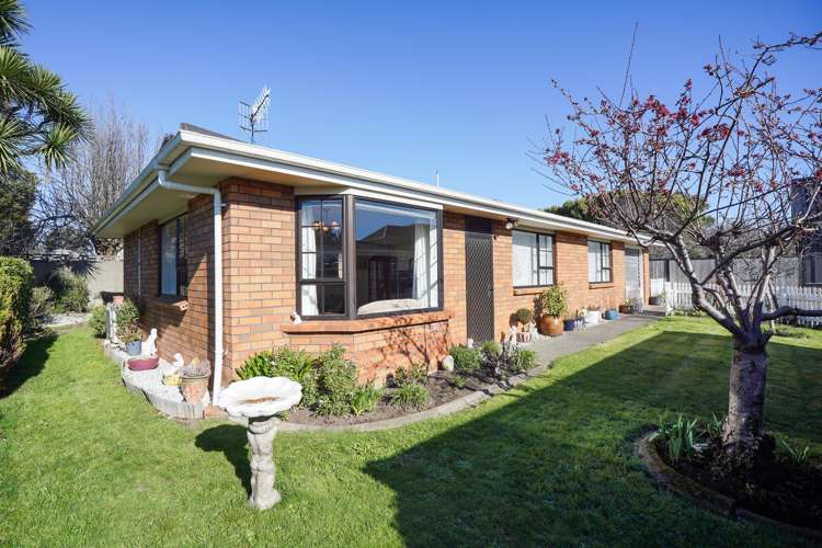 3/113 Dalrymple Street_0