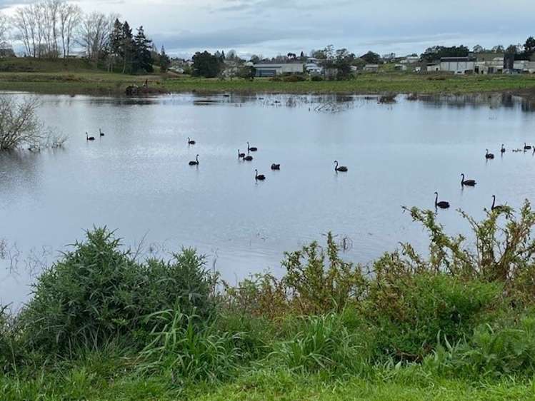 17 Hirere Street Te Kauwhata_12