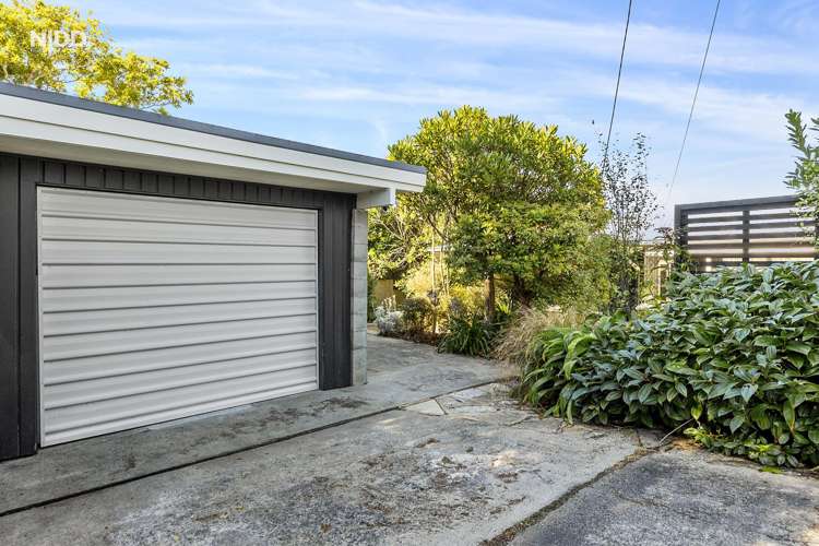 8 Mathieson Street Waverley_19
