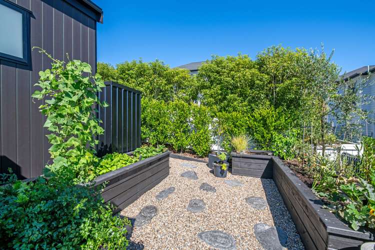 47 Discovery Drive Gulf Harbour_22