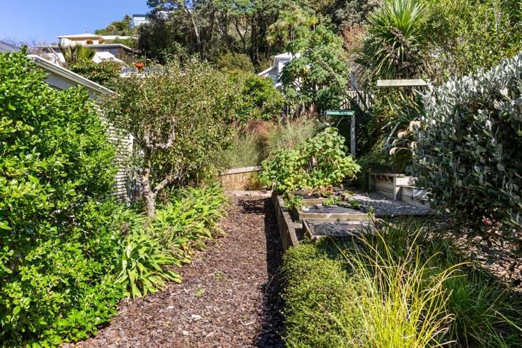 137 Aro Street Aro Valley_13