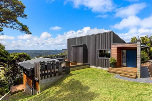 23 Log Race Road Piha_1