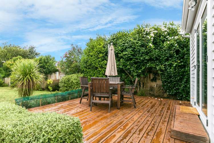 17 Plassey Street Havelock North_12