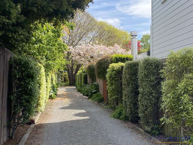 30a Wroxton Terrace Merivale_19