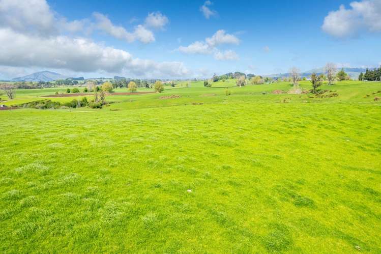 Lot 3 Bird Road Pirongia_9