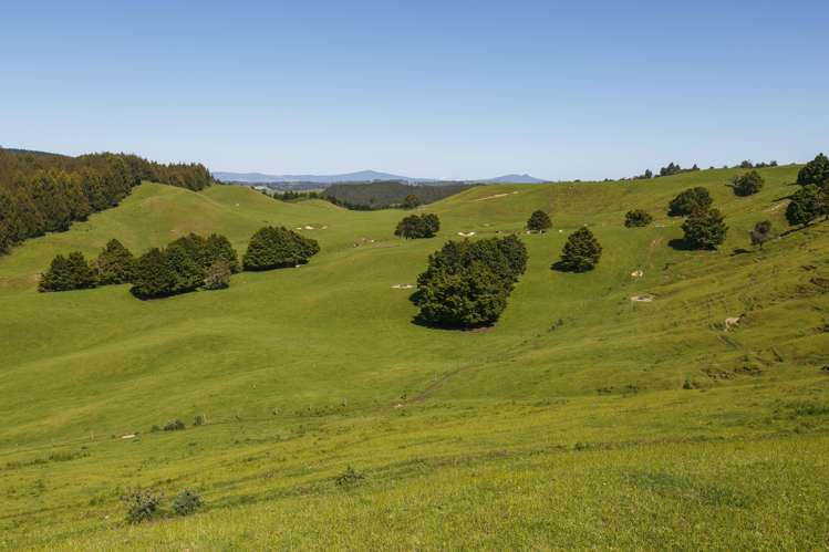 Poihipi Road Wairakei_5