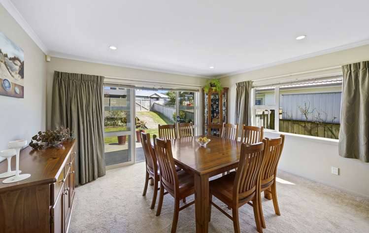 3 Catlins Glen Aotea_6