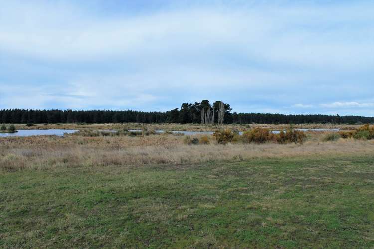 62 Te Kohanga Drive Pegasus_5