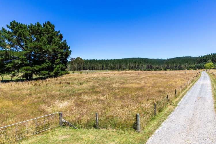 6357 State Highway 1 Kinleith_33