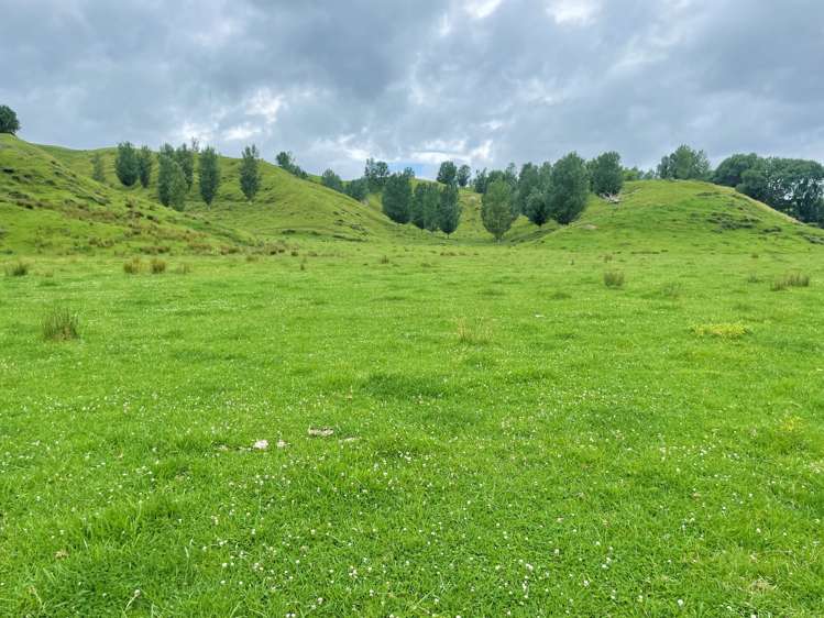 174 Clydebank Road Wairoa_6