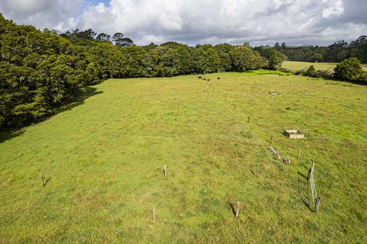 453 Pigs Head Road Hukerenui and Surrounds_26