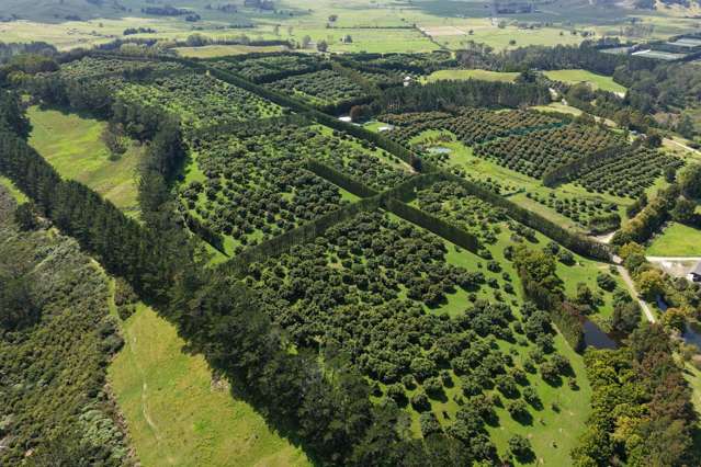 121C Purangi Road Whenuakite_3