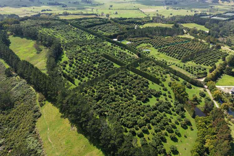 121C Purangi Road Whenuakite_3