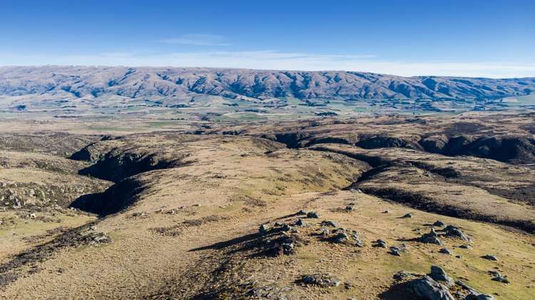 715 Hyde-Macraes Road Hyde_13