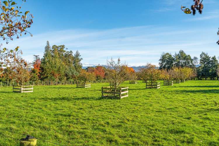 348b Francis Line Carterton_23