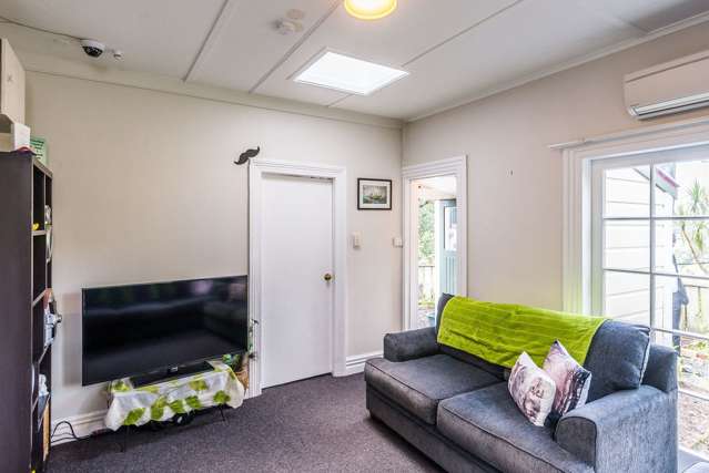 17 Irvine Street Aro Valley_2