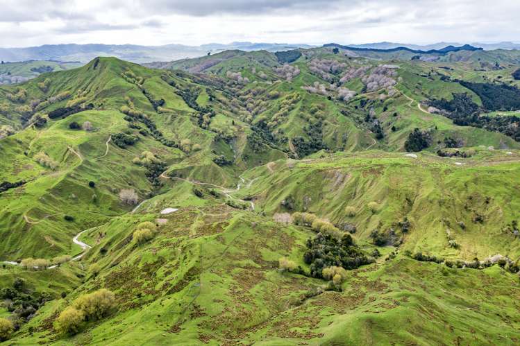 783 Glenroy Road Whangara_11